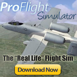 Flight Simulator